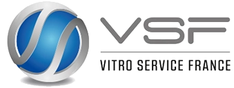 Vitro Service France